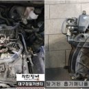 정일카센타 이미지