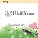 &#39;&#39;이런 믿음을 본 일이 없다..&#39;&#39; 이미지