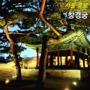 창경궁 홍화문 옆 | 창경궁 야간개장 서울 야경 명소 입장료 시간 후기