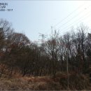 대로3류(연풍리) 네이버블로그