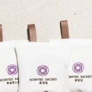 몽실하우스 이미지