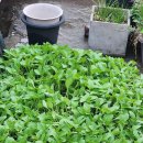 날씨누리 예보입니다 ❤️ 이미지