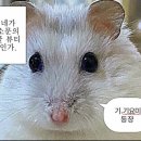 옷친구 - 구리시 안골로103번길 26 | 데이트코스로 좋은 건대옷가게❣️ 남자친구 옷 사주러 다녀온 건대 펄스 후기