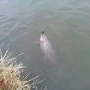 청풍체육관 이미지