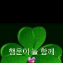 순흥애꽃 이미지