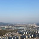 대구주단 네이버블로그