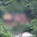 동경펜션 이미지