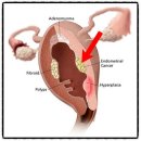 러브미여성의원 이미지