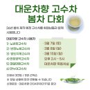 차향 Daum카페