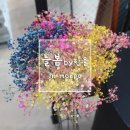 늘봄바이한울 이미지