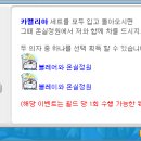 카멜리아