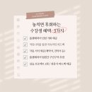 플랜테리어 브랜드 창업의 모든 것