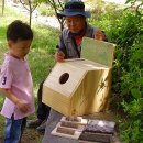 숲속유치원 이미지