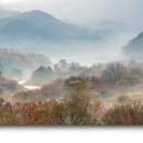 비밀의 정원 이미지