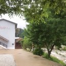 국화향기펜션 이미지