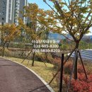 판교더샵포레스트공인중개사사무소 이미지