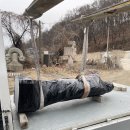 대산지게차 이미지