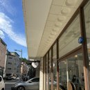 쿠루름 | 쿠루름 방문후기(대전애견동반카페/강아지수제간식)