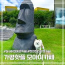 하나애견 | 가평 애견동반 카페 모아이 | 아침고요수목원 근처 감성카페
