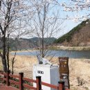 신기리 Daum카페