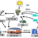 (주)썬바이오텍 이미지