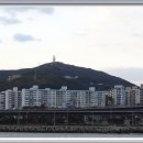 용호만유람선터미널 Daum카페