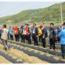 감물농장 이미지