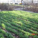 정신농장 이미지