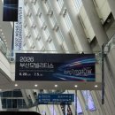 2026 부산모빌리티쇼 벡스코 방문 후기 현대 기아 BMW BYD까지