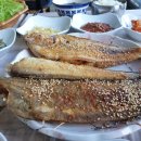 돌고래식당 이미지