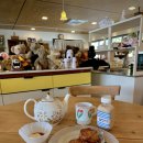 오월(5월) 이미지