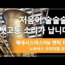 마스타앤틱