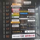 나무 아이래쉬 티스토리