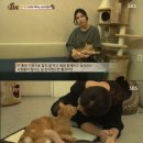 감동농장(2) 이미지