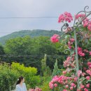 앵지밭골 이미지