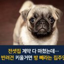 다 이미지