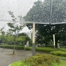 화목세탁소 | 젖은 신발 냄새 제거 세탁소에 돈쓰지마세요