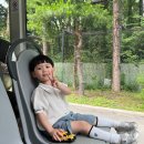 아마존월드 이미지