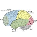 케미필라테스 - 사하구 낙동대로 432 | 케미필라테스