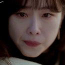 빨간바다 이미지