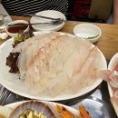 속초 오징어 어시장 이미지