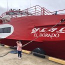 해운약국 이미지