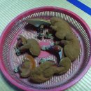 풍원농장 이미지