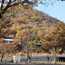덕흥마을 내 공터 | 파주 헤이리마을 카페 가드너스, 현지인이 추천하는 내돈내산 루프탑 뷰 맛집