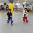 용인대 화산 태권도장 이미지