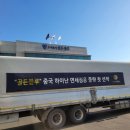 골든비즈
