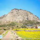 제주불교성지 순례길 절로 가는길 - 보시의 길 이미지