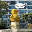 드로잉플라쥬 | 대구 아이패드드로잉클래스 드로잉플라쥬 추천합니다