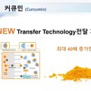 성술
