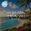 영어인